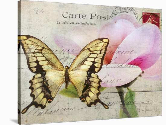 Carte Postale Magnolia I-Amy Melious-Stretched Canvas