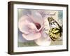 Carte Postale Magnolia II-Amy Melious-Framed Art Print