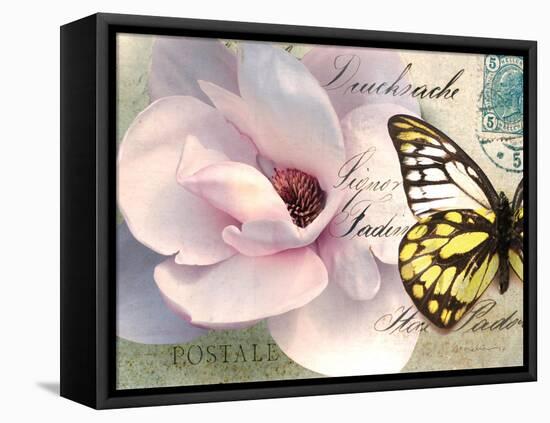 Carte Postale Magnolia II-Amy Melious-Framed Stretched Canvas