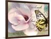 Carte Postale Magnolia II-Amy Melious-Framed Art Print