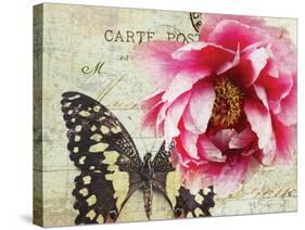 Carte Postale Peony-Amy Melious-Stretched Canvas