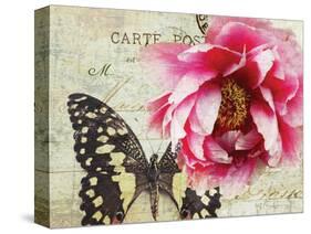 Carte Postale Peony-Amy Melious-Stretched Canvas