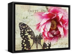 Carte Postale Peony-Amy Melious-Framed Stretched Canvas