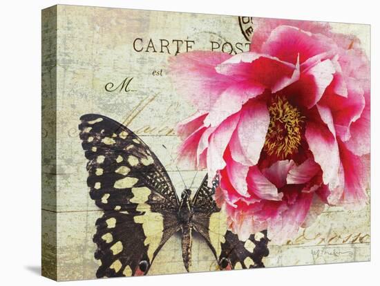 Carte Postale Peony-Amy Melious-Stretched Canvas