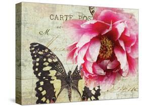 Carte Postale Peony-Amy Melious-Stretched Canvas