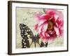 Carte Postale Peony-Amy Melious-Framed Art Print