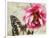 Carte Postale Peony-Amy Melious-Framed Art Print