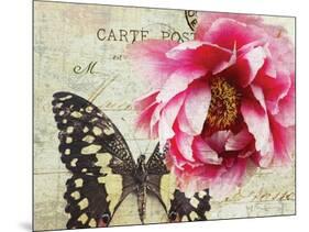 Carte Postale Peony-Amy Melious-Mounted Art Print