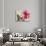 Carte Postale Peony-Amy Melious-Stretched Canvas displayed on a wall
