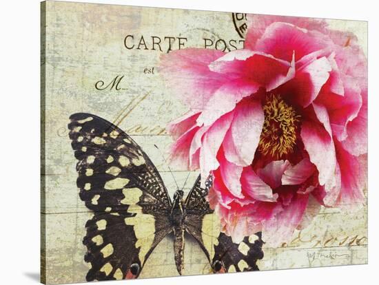 Carte Postale Peony-Amy Melious-Stretched Canvas