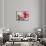 Carte Postale Peony-Amy Melious-Framed Stretched Canvas displayed on a wall