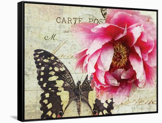 Carte Postale Peony-Amy Melious-Framed Stretched Canvas