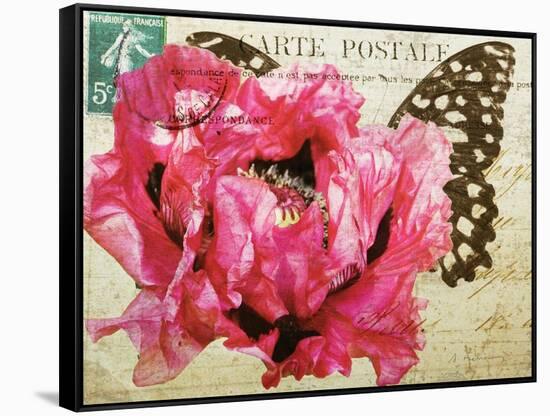 Carte Postale Poppy-Amy Melious-Framed Stretched Canvas
