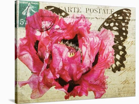 Carte Postale Poppy-Amy Melious-Stretched Canvas