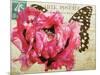 Carte Postale Poppy-Amy Melious-Mounted Art Print