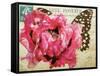 Carte Postale Poppy-Amy Melious-Framed Stretched Canvas