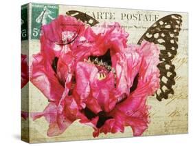Carte Postale Poppy-Amy Melious-Stretched Canvas