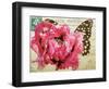 Carte Postale Poppy-Amy Melious-Framed Art Print