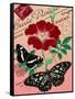 "Carte Postale" Red Butterfly Botanical Collage-Piddix-Framed Stretched Canvas