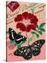 "Carte Postale" Red Butterfly Botanical Collage-Piddix-Stretched Canvas