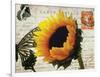 Carte Postale Sunflower-Amy Melious-Framed Art Print