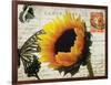 Carte Postale Sunflower-Amy Melious-Framed Art Print