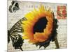 Carte Postale Sunflower-Amy Melious-Mounted Art Print