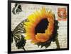 Carte Postale Sunflower-Amy Melious-Framed Art Print