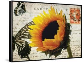 Carte Postale Sunflower-Amy Melious-Framed Stretched Canvas