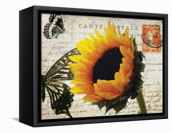 Carte Postale Sunflower-Amy Melious-Framed Stretched Canvas