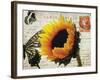 Carte Postale Sunflower-Amy Melious-Framed Art Print