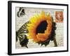 Carte Postale Sunflower-Amy Melious-Framed Art Print