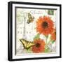 Carte Postale Sunflowers I-Julie Paton-Framed Art Print