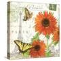 Carte Postale Sunflowers I-Julie Paton-Stretched Canvas