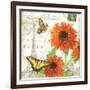 Carte Postale Sunflowers I-Julie Paton-Framed Art Print