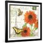 Carte Postale Sunflowers I-Julie Paton-Framed Art Print