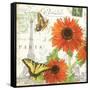 Carte Postale Sunflowers I-Julie Paton-Framed Stretched Canvas