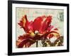 Carte Postale Tulip I-Amy Melious-Framed Art Print