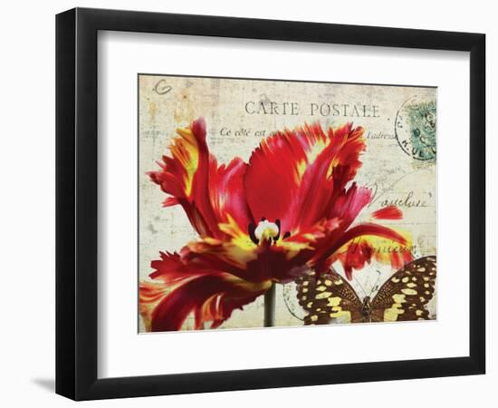 Carte Postale Tulip I-Amy Melious-Framed Art Print