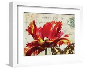 Carte Postale Tulip I-Amy Melious-Framed Art Print