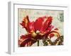 Carte Postale Tulip I-Amy Melious-Framed Art Print