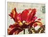 Carte Postale Tulip I-Amy Melious-Framed Art Print