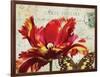 Carte Postale Tulip I-Amy Melious-Framed Art Print