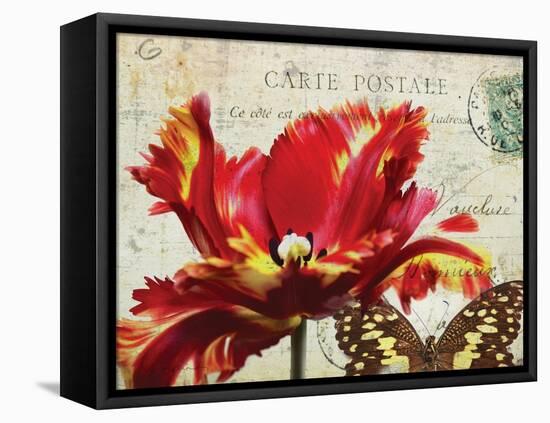 Carte Postale Tulip I-Amy Melious-Framed Stretched Canvas