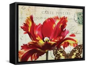 Carte Postale Tulip I-Amy Melious-Framed Stretched Canvas