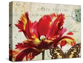 Carte Postale Tulip I-Amy Melious-Stretched Canvas