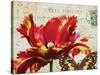 Carte Postale Tulip I-Amy Melious-Stretched Canvas