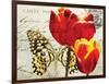 Carte Postale Tulip II-Amy Melious-Framed Art Print