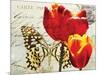 Carte Postale Tulip II-Amy Melious-Mounted Art Print