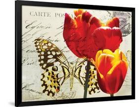 Carte Postale Tulip II-Amy Melious-Framed Art Print